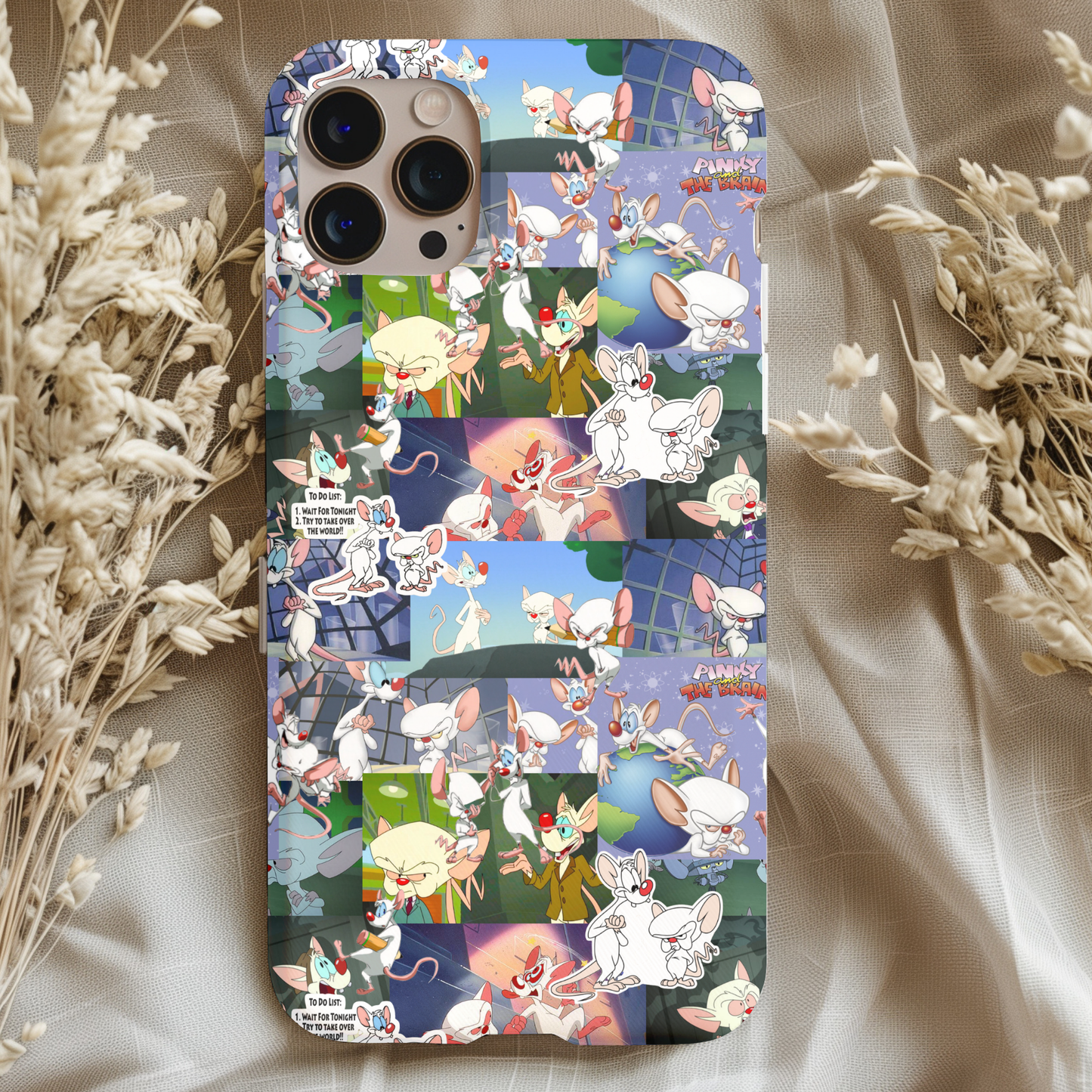 Pinky And The Brain Phone Case